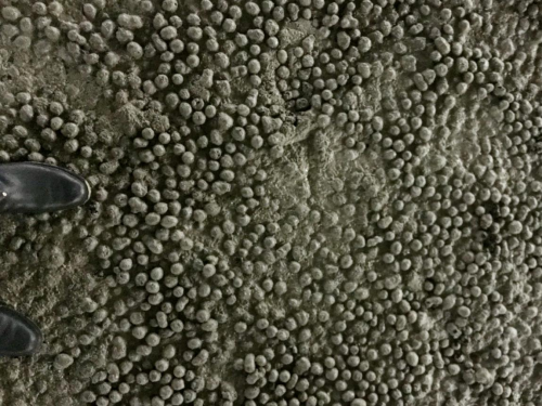 江西達人建材陶?；炷? title=