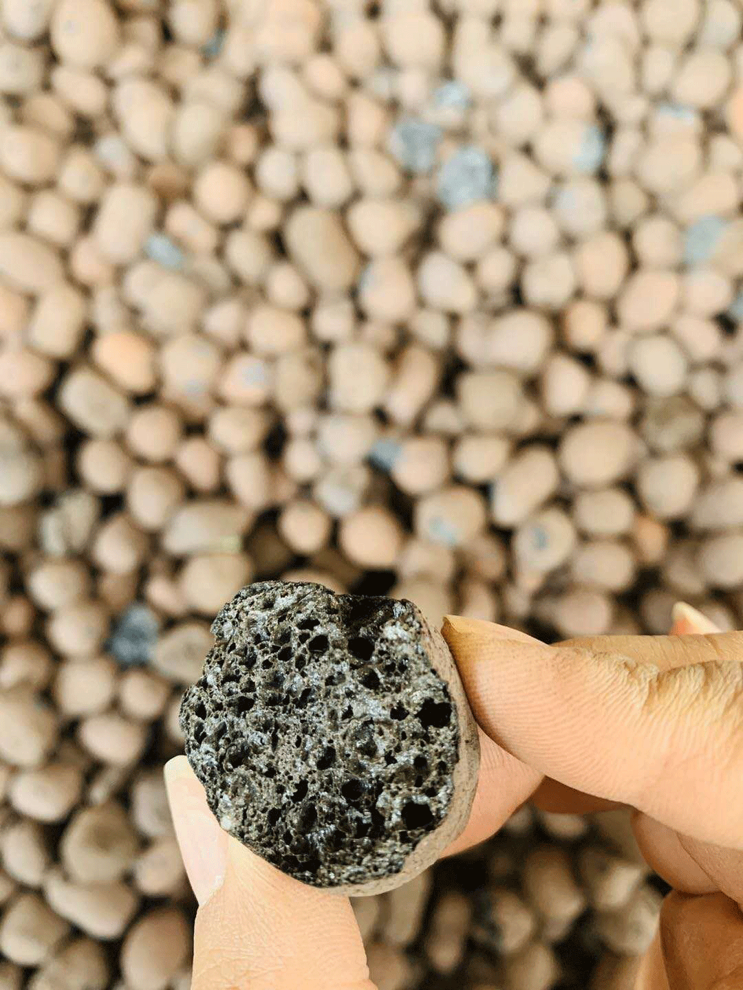 撫州陶粒_撫州陶粒批發(fā)_衛(wèi)生間回填陶粒 撫州陶粒_撫州陶粒批發(fā)_衛(wèi)生間回填陶粒