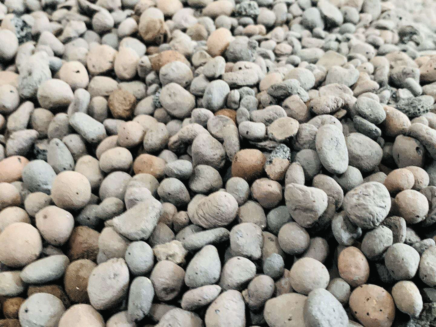 江西撫州陶粒廠發(fā)貨,價格便宜,陶粒強(qiáng)度好