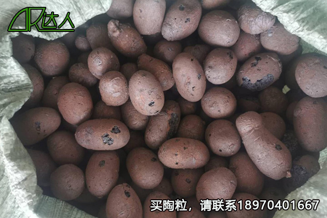 撫州陶粒_撫州陶粒批發(fā)_衛(wèi)生間回填陶粒 撫州陶粒_撫州陶粒批發(fā)_衛(wèi)生間回填陶粒