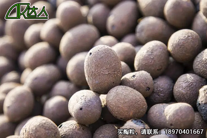 建筑陶粒、回填陶粒